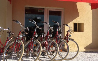 Vente vélos occasion